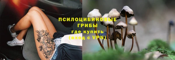 прущие крисы Алексин