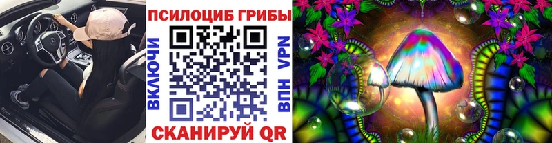 Псилоцибиновые грибы Psilocybe даркнет телеграм Апрелевка